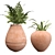 Botanical Beauties in Clay Pots 3D model small image 5