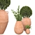 Botanical Beauties in Clay Pots 3D model small image 8