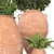 Botanical Beauties in Clay Pots 3D model small image 9