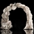 Pampas Palm Wedding Arch 3D model small image 5