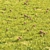 Detailed Grass & Mushroom Lawn 3D 3D model small image 3