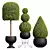 Nerve Plant 3D Model Set 3D model small image 1