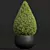 Nerve Plant 3D Model Set 3D model small image 2