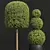 Nerve Plant 3D Model Set 3D model small image 3