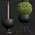 Nerve Plant 3D Model Set 3D model small image 4
