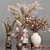 Colorful Pampas Grass Bundle 3D model small image 1