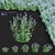 Bannaticus Echinops Flower Models 3D model small image 8