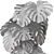Botanical Bundle: 115k Polys 3D model small image 5