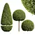 Ficus Concinna Bonsai Pruned Set 3D model small image 1