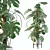 Tropical Monstera Plant Collection 3D model small image 1