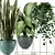  Premium Indoor Plants Collection 3D model small image 3