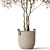 Botanical Beauty 787 Collection 3D model small image 3