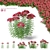 Achillea Millefolium Flower Collection 3D model small image 1