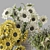 Sunflower Bouquet 3D Model Collection 3D model small image 3