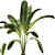 Banana Leaf Plant Vase Set 3D model small image 4