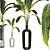 Banana Leaf Plant Vase Set 3D model small image 5