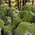 Mossy Rock Scatter Collection 3D 3D model small image 2