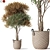 Botanical Ensemble 794 3D model small image 1