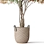 Botanical Ensemble 794 3D model small image 2