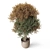 Botanical Ensemble 794 3D model small image 3