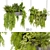 Pothos Ampelous Hanging Plant Model 3D model small image 1