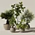 Botanical Bundle 3D Models Collection 3D model small image 5