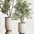 Contemporary Indoor Plant Set 3D model small image 5