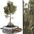 Botanical Outdoor Plant Set 3D 3D model small image 1