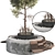 Botanical Outdoor Plant Set 3D 3D model small image 3