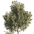 Botanical Outdoor Plant Set 3D 3D model small image 4