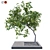 Gorgeous Outdoor Plant 3D Model 3D model small image 1