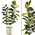 Rubber Plant 3D Model Kit 3D model small image 2
