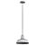 Industrial Vintage Pendant Light Fixture 3D model small image 2