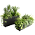 Indoor Plants in Floor Boxes 3D model small image 1