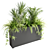 Indoor Plants in Floor Boxes 3D model small image 3