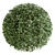 Dual Object Boxwood 3D Model 3D model small image 2