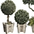 Outdoor Foliage Collection 3D Model 3D model small image 2