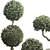 Outdoor Foliage Collection 3D Model 3D model small image 5