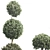 Outdoor Foliage Collection 3D Model 3D model small image 6
