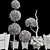Outdoor Foliage Collection 3D Model 3D model small image 7