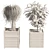 Detailed Ponytail Palm & Rubber Fig Planters 3D model small image 6
