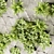 Premium Botanical Collection - Voluminous Vertical Plant 3D model small image 2