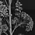 Aspen Populus Tremuloides 3D Trees 3D model small image 5