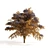 Autumn Aralia Elata Tree Pair 3D model small image 1