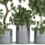  Russian Plant Collection 3D Models 3D model small image 2