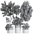  Russian Plant Collection 3D Models 3D model small image 3