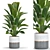 Corona Plant Collection 53 3D model small image 1