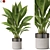 Exquisite Plants Collection 835 3D model small image 1