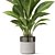 Exquisite Plants Collection 835 3D model small image 2