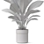 Exquisite Plants Collection 835 3D model small image 4